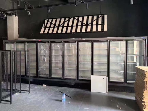 【信阳定制仟曦冷链保鲜柜饮料柜品牌】- 