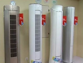 酷暑催热娄底 夏日经济 一店一天卖4千斤西瓜